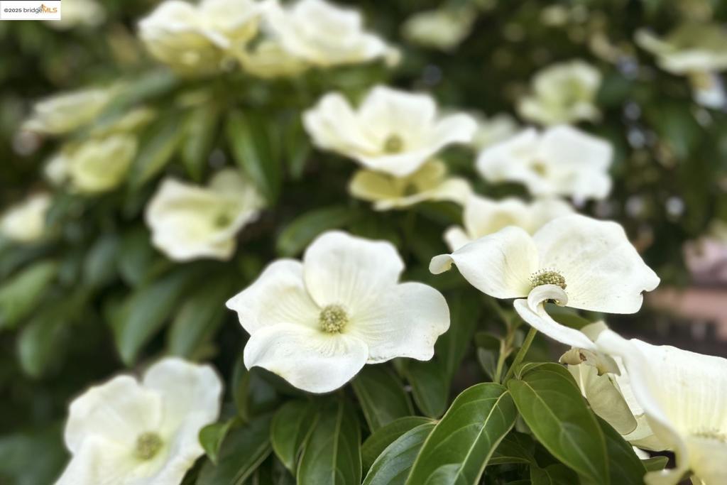 https://media.crmls.org/mediaz/c87e63ce-0286-4698-9b6a-c9f2afce664f.jpg?preset=X-Large