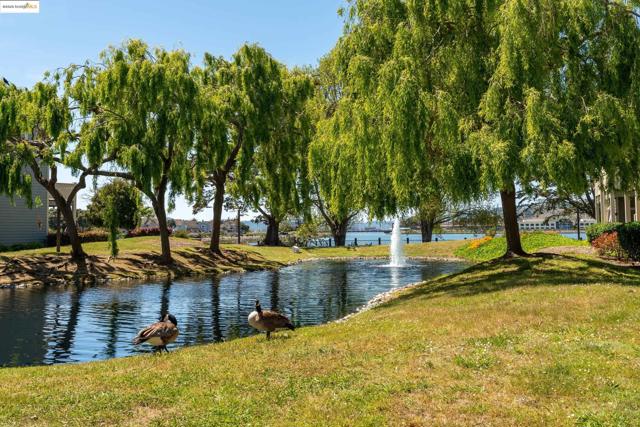 197 Lakeshore Ct, Richmond CA: https://media.crmls.org/mediaz/c87ec20d-a13e-492d-a4fb-e058d84c16ff.jpg