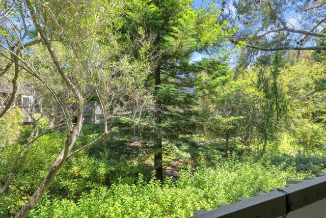 5202 Shelter Creek Lane, San Bruno CA: https://media.crmls.org/mediaz/c88a7165-4fc7-4ebe-ae52-f8b6432c7ab9.jpg