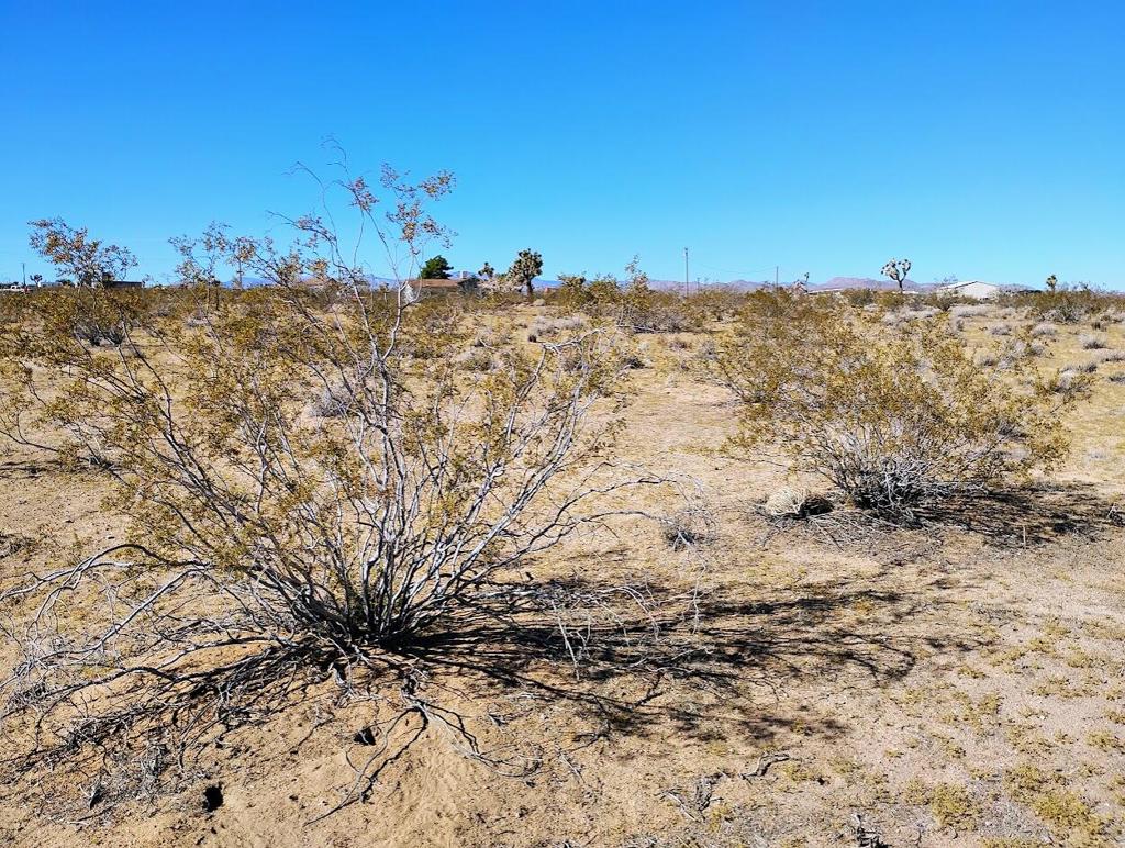 MLS #219138097DA image #12