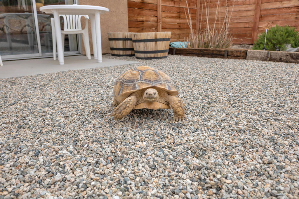 MLS #219134669DA image #44