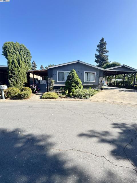 14 Blue Teal Ct, Lodi CA: https://media.crmls.org/mediaz/c896d8f4-cc5c-4903-b167-98866f58f420.jpg