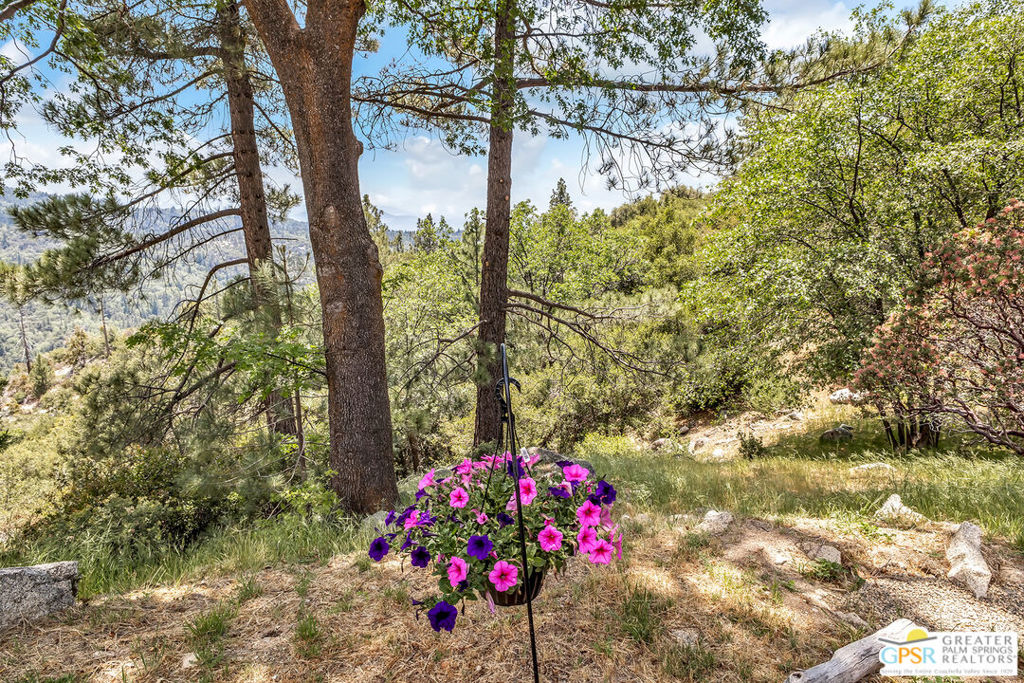 https://media.crmls.org/mediaz/c89a4180-b66c-4ae6-b9d9-7d934930216b.jpg?preset=X-Large