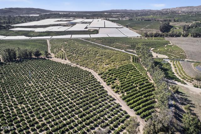 Detail Gallery Image 15 of 15 For 4363 Sand Canyon Rd, Somis,  CA 93066 - – Beds | – Baths