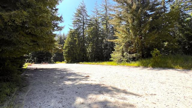 3675 Bonny Doon Road, Santa Cruz CA: https://media.crmls.org/mediaz/c8a2a9a0-2d04-4ab6-a4f1-61d23799d039.jpg
