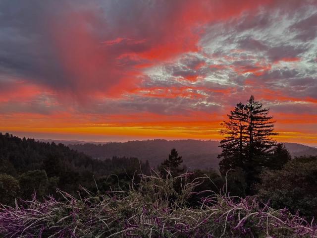 1584 Tindall Ranch Road, Corralitos CA: https://media.crmls.org/mediaz/c8ae5150-2b0f-473d-abb7-46cb554b2224.jpg