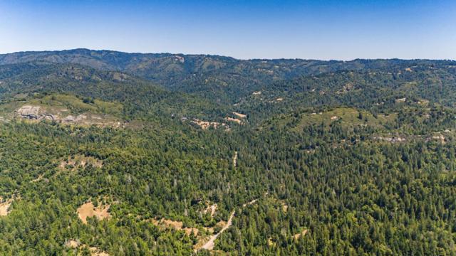15971 Forest Hill Drive, Boulder Creek CA: https://media.crmls.org/mediaz/c8bf729a-44ac-4f4f-ad61-3227931e2a2c.jpg
