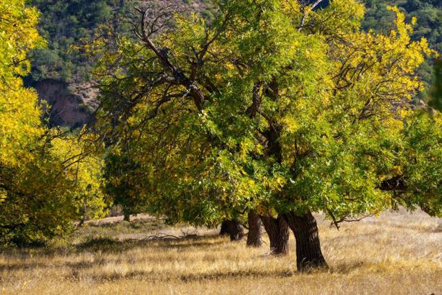 47275 Arroyo Seco Road, Greenfield CA: https://media.crmls.org/mediaz/c8c712d4-7a21-4295-80e3-73020afb85a6.jpg