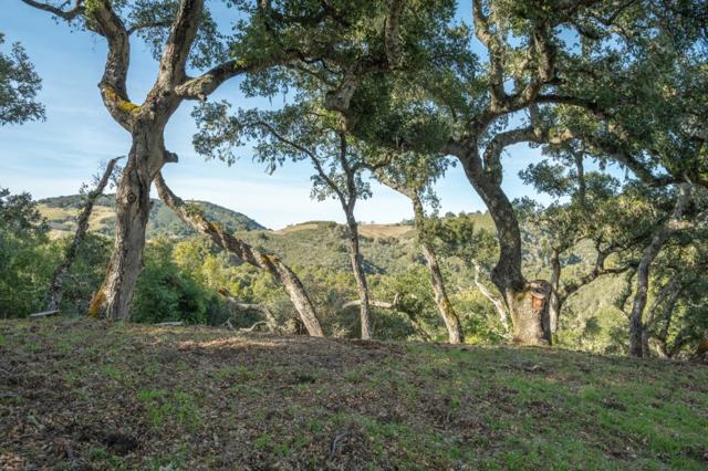 5 Vasquez Trail (Lot 170), Carmel CA: https://media.crmls.org/mediaz/c8c9e919-9ea6-44f0-ab8a-eb86bcba465b.jpg