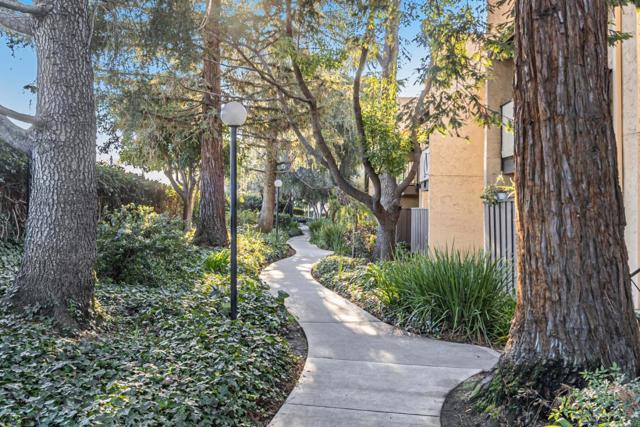 259 N Capitol Avenue, San Jose CA: https://media.crmls.org/mediaz/c8cc3a2f-2322-4a33-87ca-1514e7ffdf5d.jpg