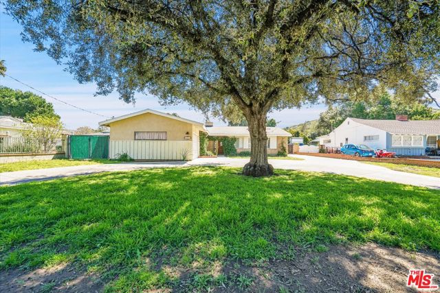 9732 Orcas Avenue photo 3