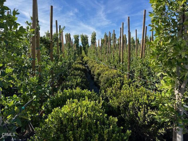 Detail Gallery Image 30 of 41 For 2245 California St, Fillmore,  CA 93015 - 2 Beds | 1 Baths