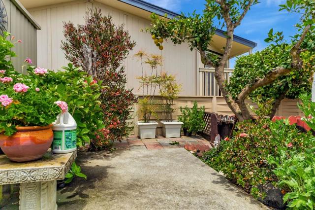 2435 Felt, Santa Cruz CA: https://media.crmls.org/mediaz/c8d80ba5-a357-485b-9c36-dd84f30f5817.jpg