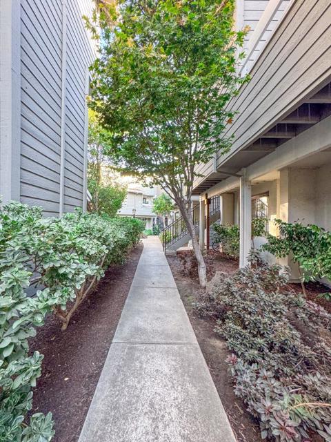6923 Chantel Court, San Jose CA: https://media.crmls.org/mediaz/c8deae94-981d-43b0-8277-4b2a2c86309a.jpg