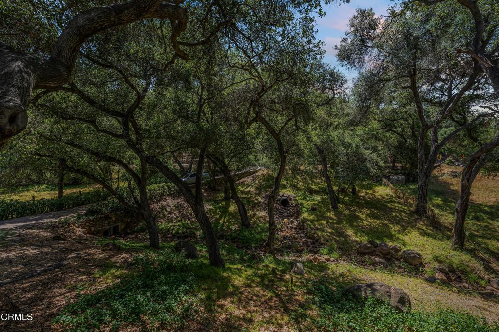 https://media.crmls.org/mediaz/c8e2dfd4-dc91-4489-92f2-5c73878d769f.jpg?preset=X-Large