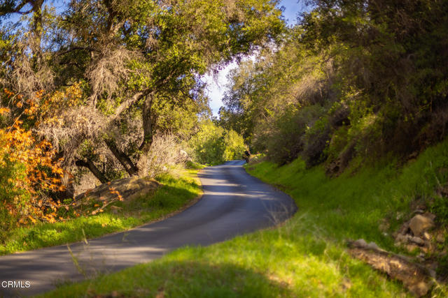 15990 Maricopa Highway, Ojai CA: https://media.crmls.org/mediaz/c8ea9949-f620-4a2d-ac47-f65a6a5b3164.jpg
