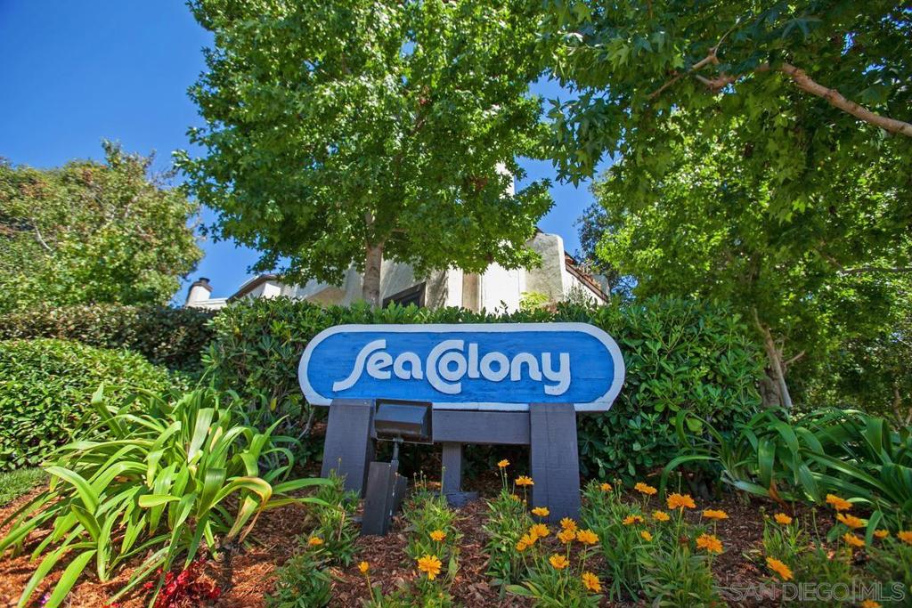 2232 Caminito Pajarito - photo 2