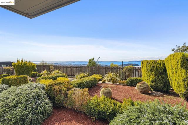 256 Cambridge Ave, Kensington CA: https://media.crmls.org/mediaz/c9069d2d-45c4-45cc-be6d-fcfff6d99294.jpg