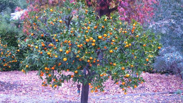 4744 Resmar Rd, La Mesa CA: https://media.crmls.org/mediaz/c90c30dc-6ec6-409d-ac5a-8d86513e9bf3.jpg