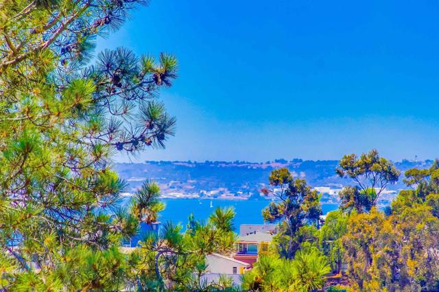 2854 Albatross Street, San Diego CA: https://media.crmls.org/mediaz/c90f5779-4464-4861-8ab6-ca1d4298fd34.jpg