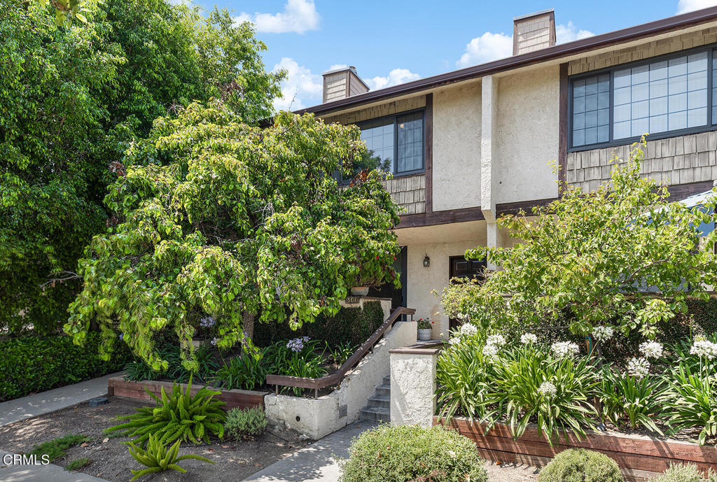 301 Wallis Street #8