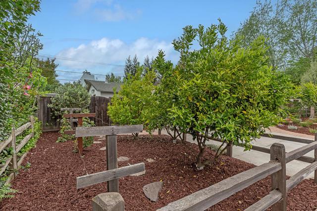 1532 Meadow Lane, Mountain View CA: https://media.crmls.org/mediaz/c914a1a9-9d0d-4766-a566-aa872b4057ad.jpg