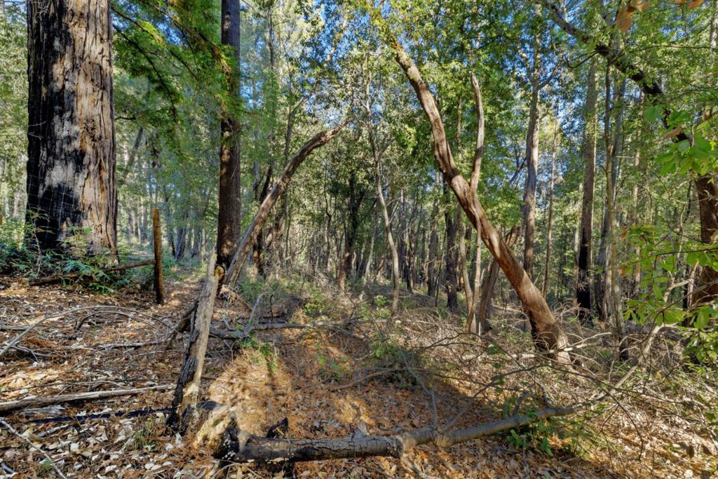 MLS #ML81986063 image #8