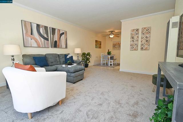 Details for 1699 Laguna St  305, Concord, CA 94520