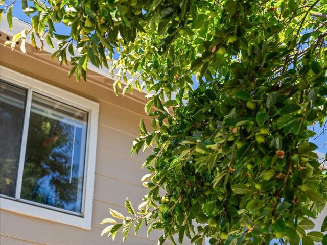 1507 New Bedford ct Court, San Jose CA: https://media.crmls.org/mediaz/c9205398-74c8-497e-8b09-8ed7dd3e1cb1.jpg