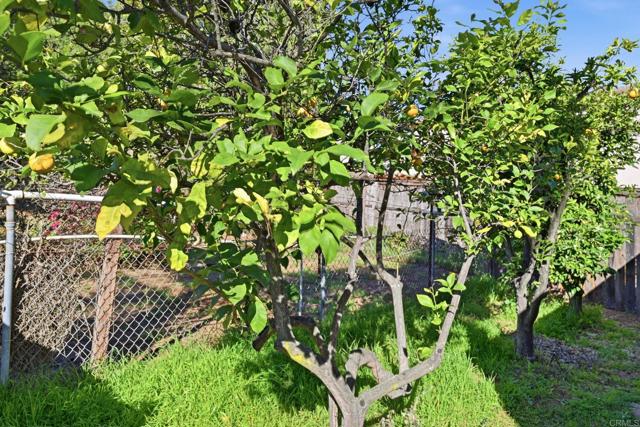 Detail Gallery Image 42 of 46 For 145 Barhaven Ln, Fallbrook,  CA 92028 - 3 Beds | 2 Baths