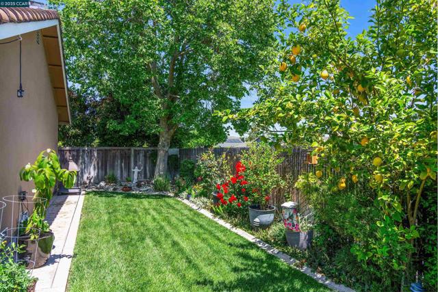3509 Gulfstream Street, Pleasanton CA: https://media.crmls.org/mediaz/c926a2a1-93c9-46c3-b366-9bac32e1d62b.jpg