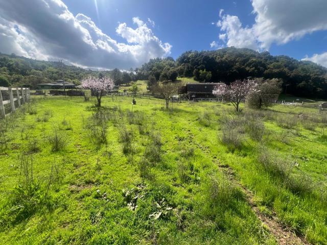 5390 Little Uvas Road, Morgan Hill CA: https://media.crmls.org/mediaz/c9280ea6-ab13-4c10-8619-7c7e4ceca5bd.jpg