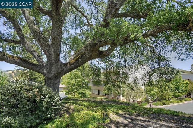 4033 Terra Granada Dr, Walnut Creek CA: https://media.crmls.org/mediaz/c92a434a-6797-4794-914a-74a0dea1777d.jpg