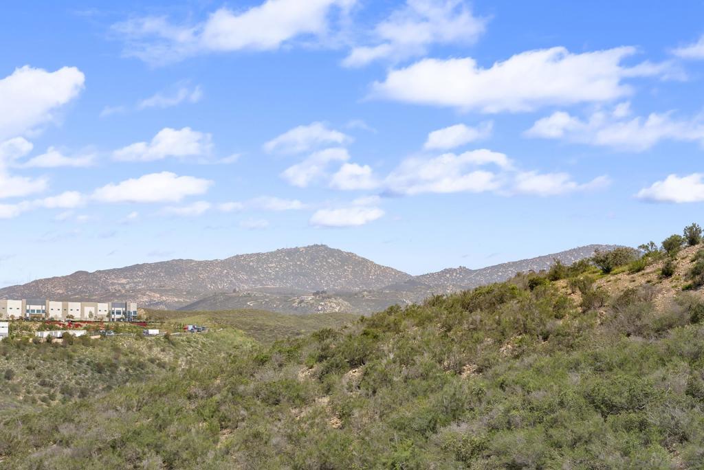 MLS #250032415SD img 51