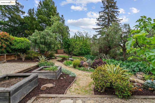 68 Fairview Ave., Piedmont CA: https://media.crmls.org/mediaz/c93d18aa-2cc0-4c7e-b788-4457f53030f0.jpg