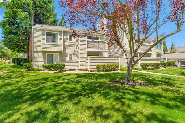 383 Eastridge Dr, San Ramon CA: https://media.crmls.org/mediaz/c943615b-10ff-4005-8b57-c6ef61bd87d0.jpg