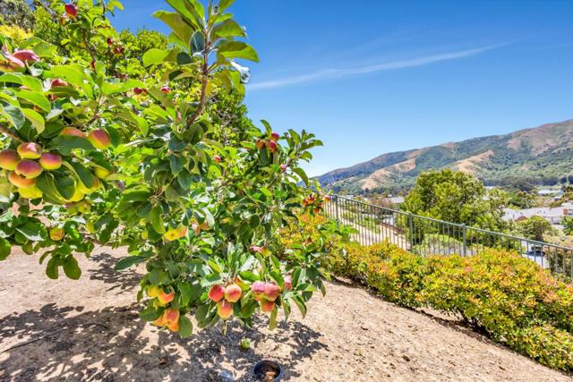 33 Lupine Valley Court, Brisbane CA: https://media.crmls.org/mediaz/c94499d6-52d2-48eb-8924-2e9262f0460b.jpg