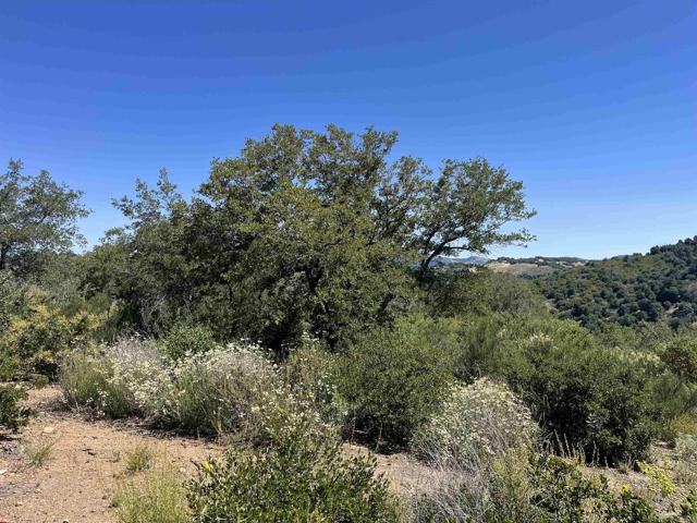 3890 Eagle Ridge, Julian CA: https://media.crmls.org/mediaz/c94b642e-4c12-4d5c-b92c-e0788d8123d1.jpg