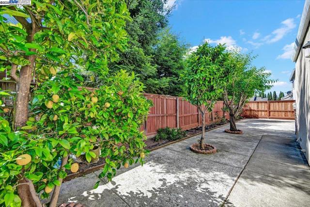 Image 24 of 47 For 16230 Calypso Ct