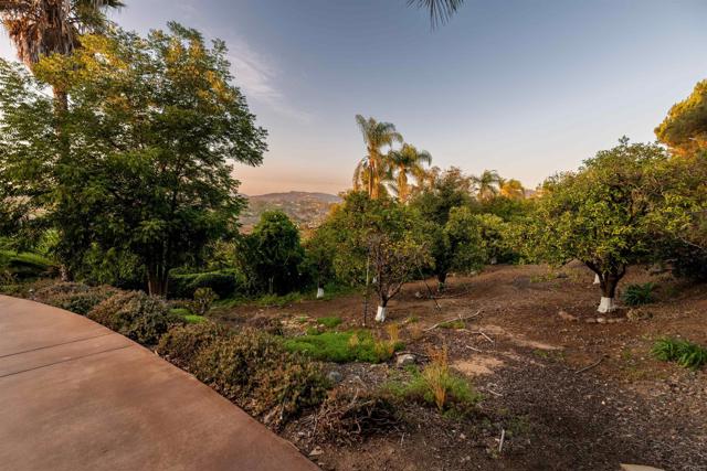 Detail Gallery Image 50 of 72 For 18102 via Ascenso, Rancho Santa Fe,  CA 92067 - 6 Beds | 6/1 Baths