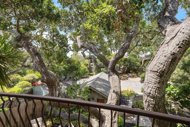 5 NE of 4th on Lopez, Carmel CA: https://media.crmls.org/mediaz/c96f320c-b0d9-4f59-8753-3b527445686b.jpg