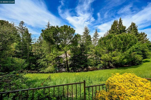 715 Blue Spruce Dr, Danville CA: https://media.crmls.org/mediaz/c97d702f-266d-4a9d-9366-39b387b69845.jpg