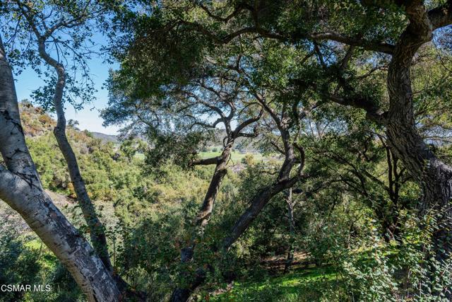 2306 Heatherbank Court, Thousand Oaks CA: https://media.crmls.org/mediaz/c984d115-ea93-43b3-a53d-96f75309a92f.jpg