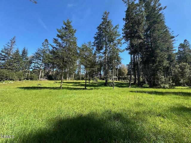 Detail Gallery Image 5 of 6 For 26555 Highway 1, Fort Bragg,  CA 95437 - – Beds | – Baths