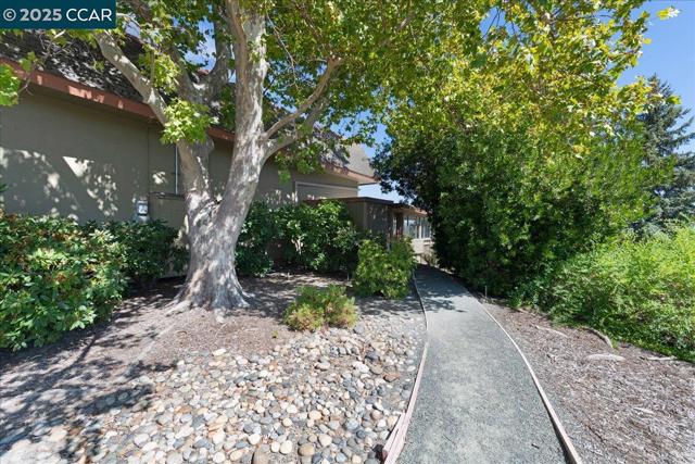 1256 Skycrest Dr, Walnut Creek CA: https://media.crmls.org/mediaz/c98c5965-b4fd-49ad-b71e-4ba10afd1061.jpg