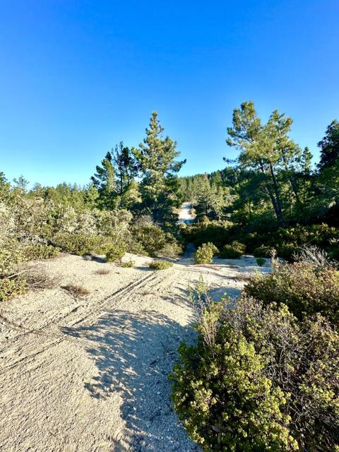 10001 West Drive, Felton CA: https://media.crmls.org/mediaz/c98cec29-92c8-476f-aa37-8ef1a21ecf4c.jpg