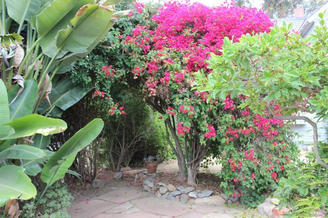 1035 Edgemont Place, San Diego CA: https://media.crmls.org/mediaz/c99a4e84-39ea-4ac2-a1a0-4bf072af5b12.jpg