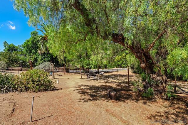 4744 Resmar Rd, La Mesa CA: https://media.crmls.org/mediaz/c99e7e4c-8950-4313-844e-dfae5ca56f74.jpg