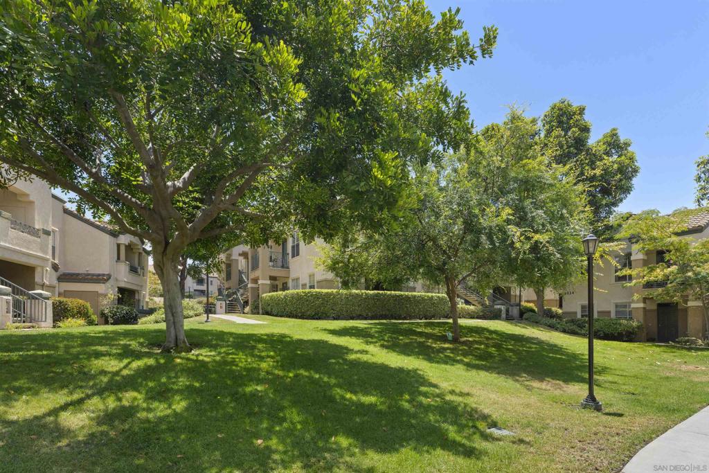 3544 Caminito El Rincon - photo 20
