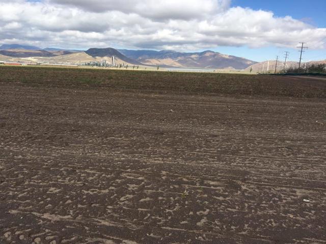 20028 Tehachapi Willow Springs Road, Tehachapi CA: https://media.crmls.org/mediaz/c9a0a045-4223-4b32-9f2f-c8283f451bdc.jpg